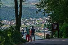 Blick auf die Rheinebene (Rüdesheim)