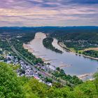 Blick auf die Rheininsel Nonnenwerth