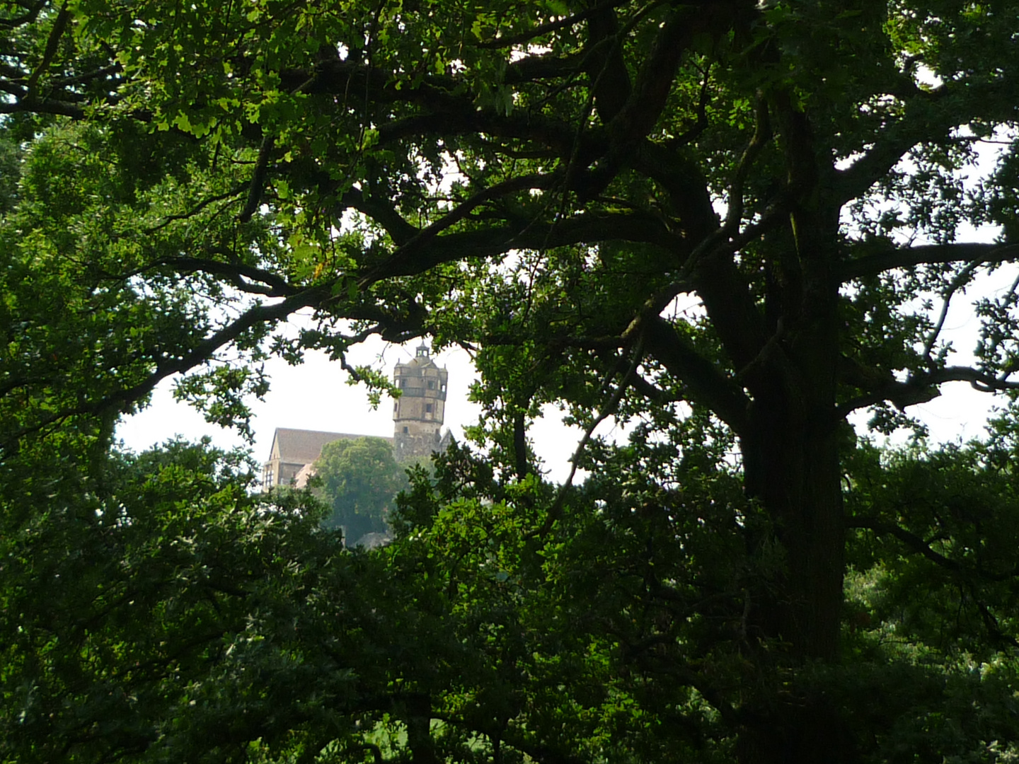 Blick auf die Ronneburg