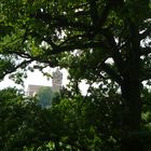 Blick auf die Ronneburg