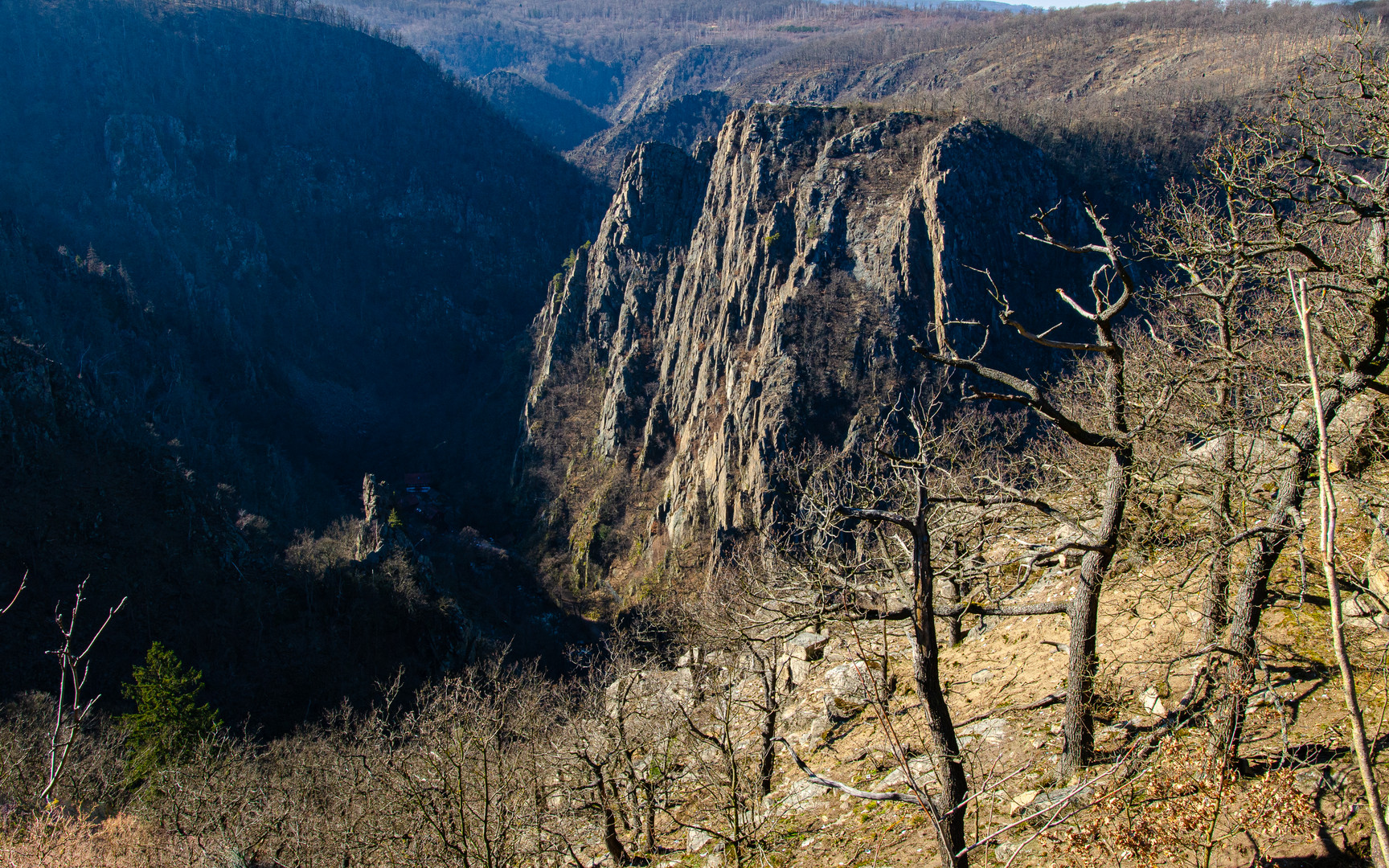 Blick auf die Rosstrappe Winteransicht