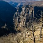 Blick auf die Rosstrappe Winteransicht