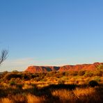 Blick auf die rote Felswand des Kings Canyon