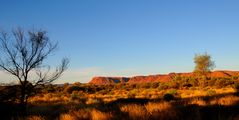 Blick auf die rote Felswand des Kings Canyon