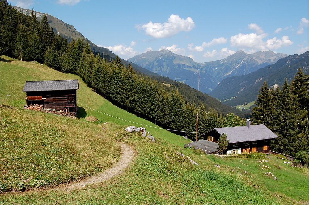 Blick auf die Rütialpe