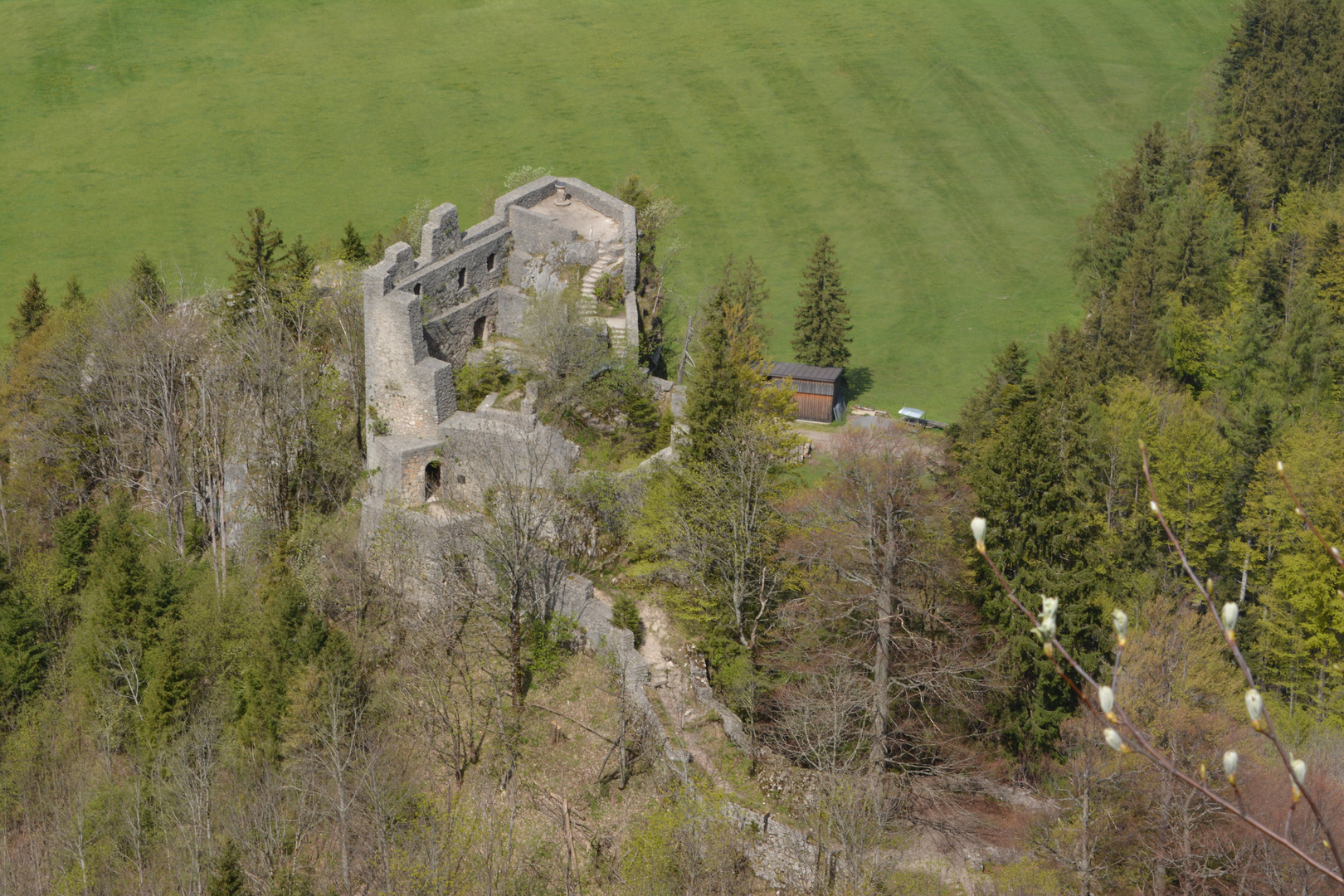 Blick auf die Ruine Wartenfels...