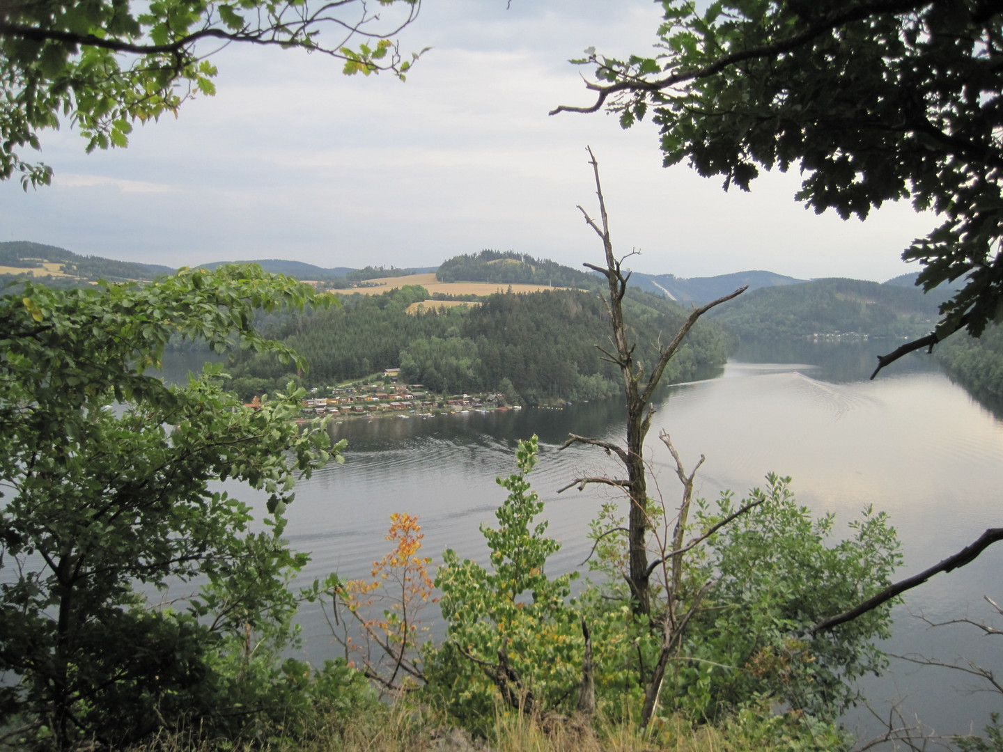 Blick auf die Saale