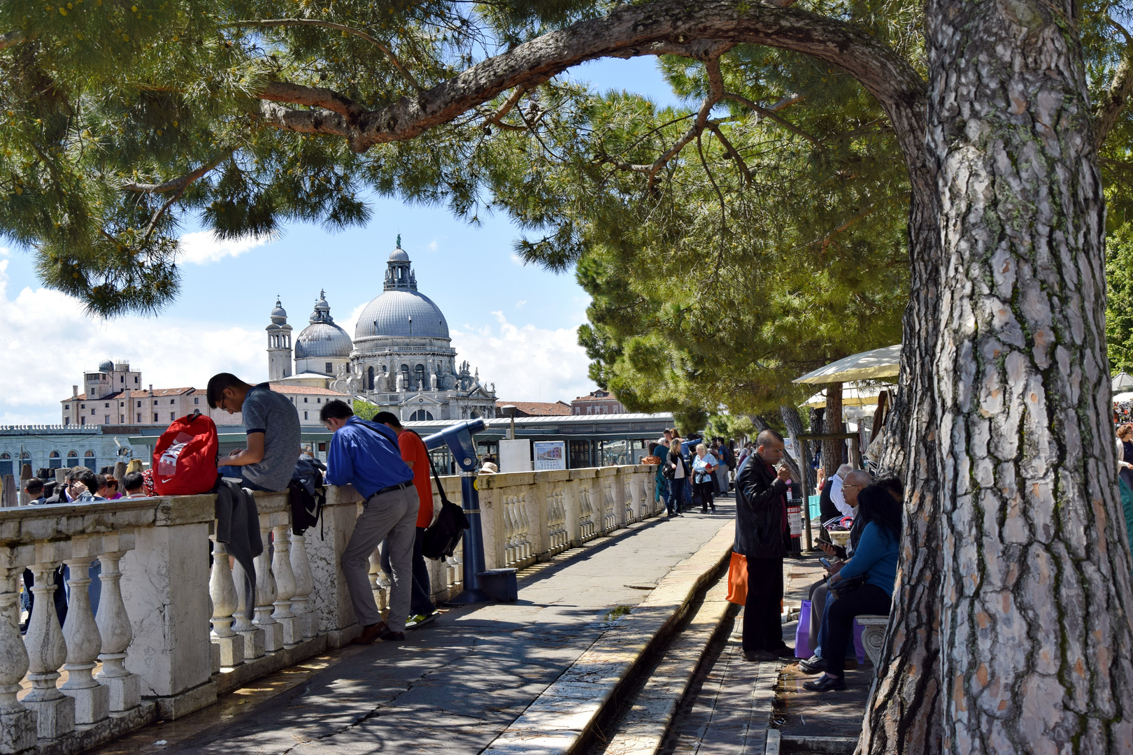 Blick auf die Santa Maria della Salute