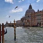 Blick auf die Santa Maria della Salute und Hotel Centurion Palace 