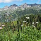 Blick auf die Schafalpenköpfe