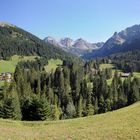 Blick auf die Schafalpenköpfe, Elfer und Zwölfer