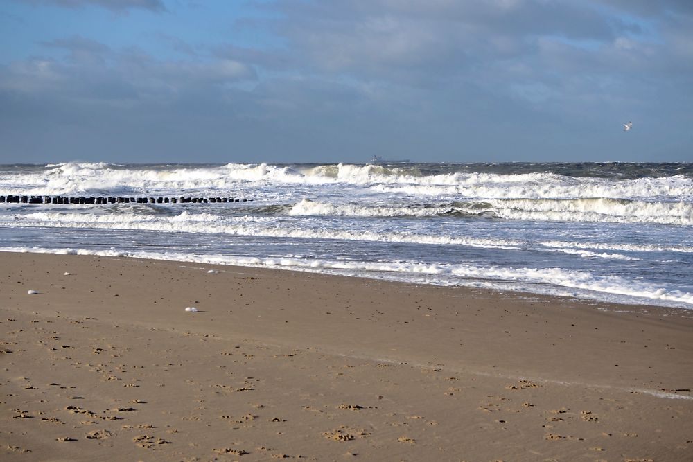 Blick auf die Scheldemündung bei Domburg, Zeeland (NL)