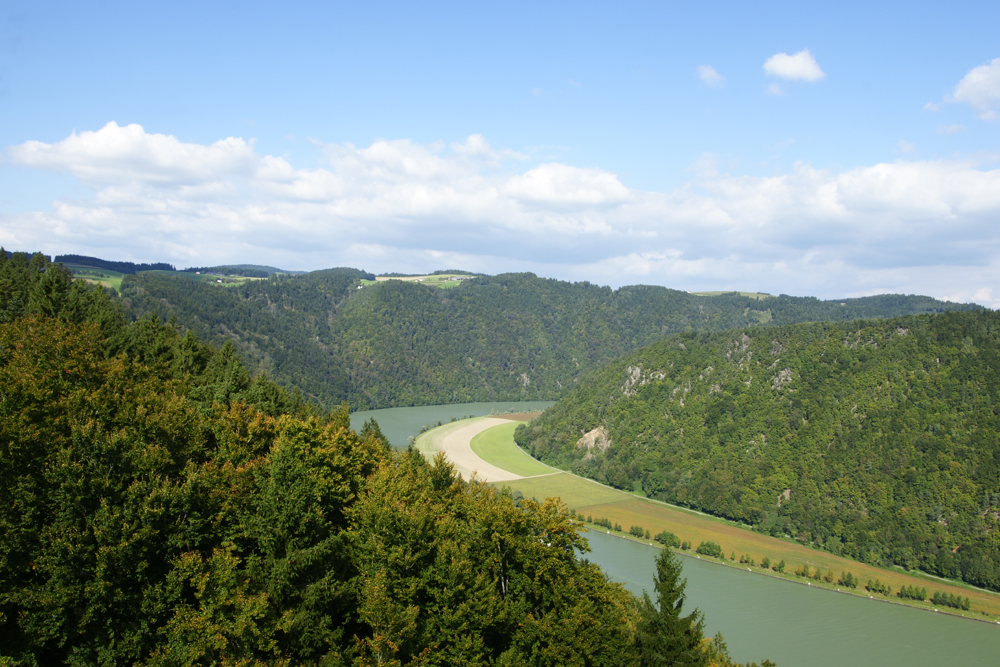 Blick auf die Schlögener Schlinge von der Ruine Haichenbach