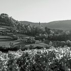 Blick auf die Schlosskirche in Castell vom Casteller Hohnart aus