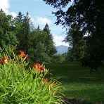 Blick auf die Schneekoppe