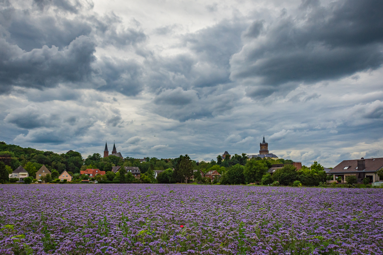 Blick auf die Schwanenburg