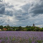 Blick auf die Schwanenburg