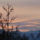 Blick auf die schweizer Alpen