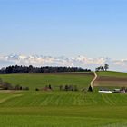 Blick auf die Schweizer Alpen