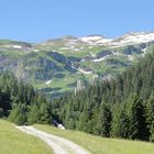 Blick auf die Schweizer Berge