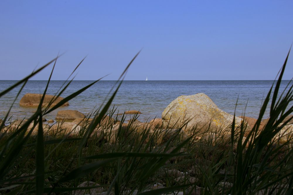 Blick auf die See