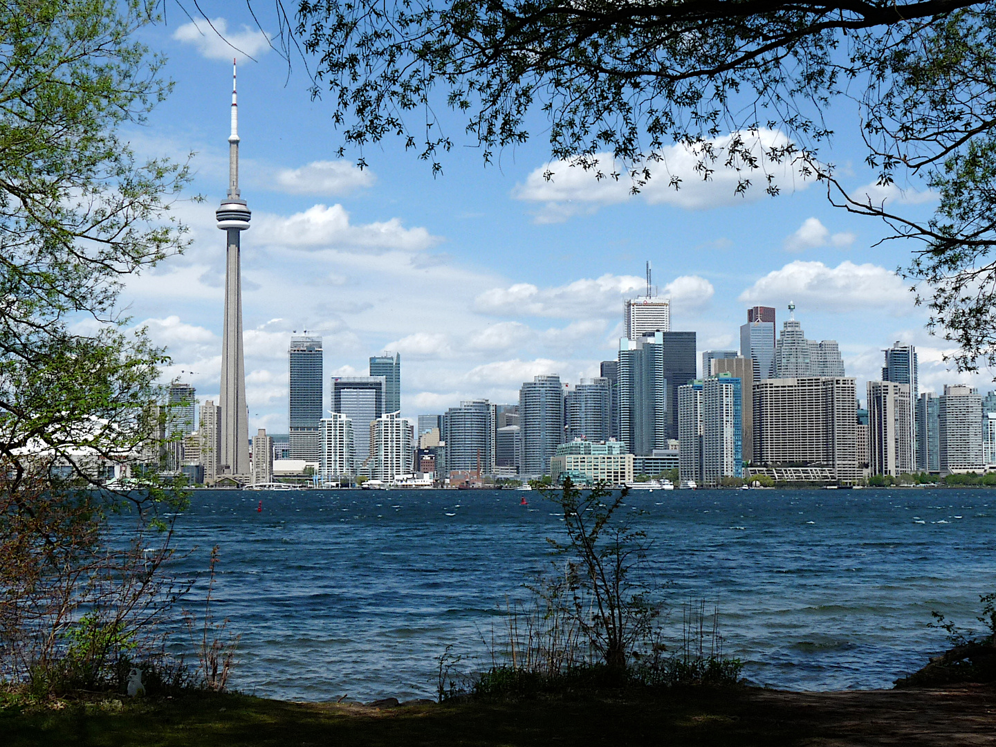 Blick auf die Skyline von Toronto