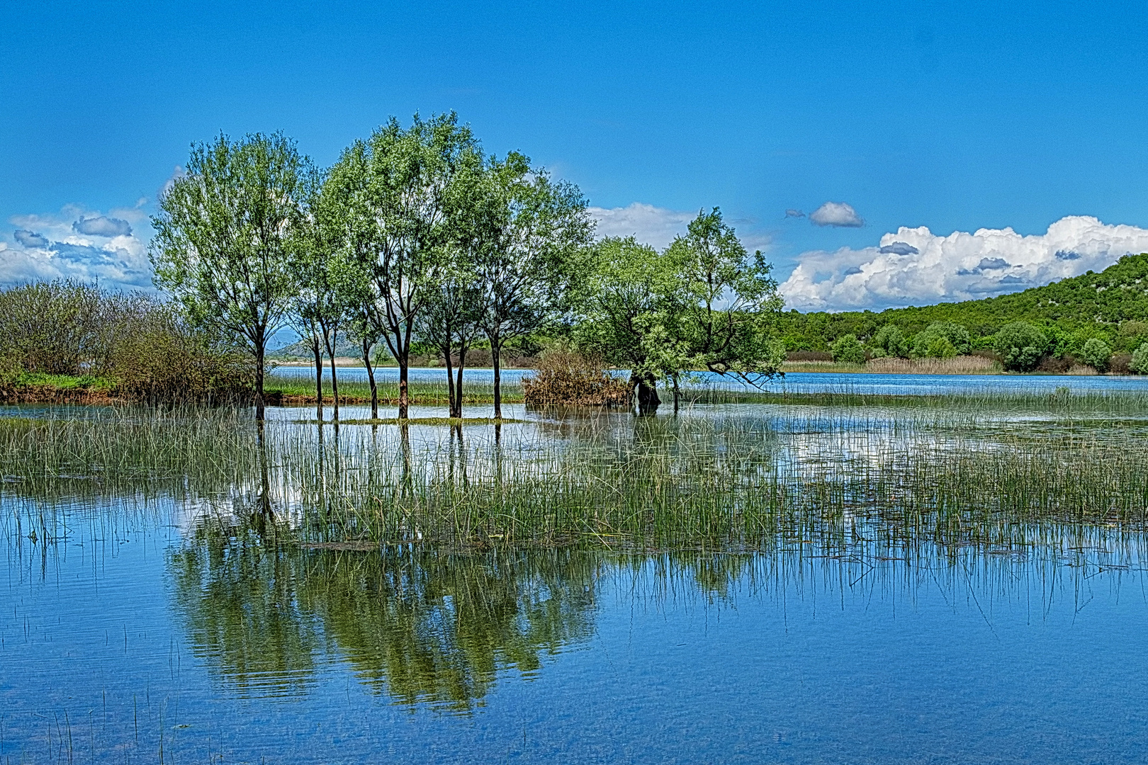 Blick auf die Spiegelung