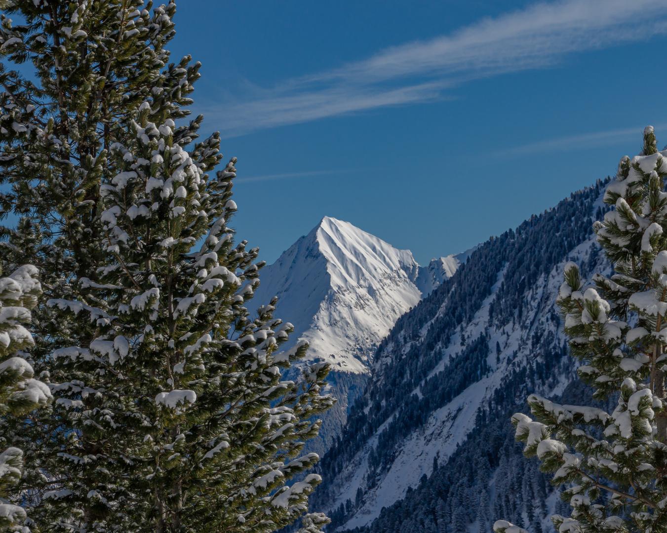 Blick auf die Spitze 