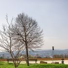 Blick auf die Stadt mit Fernblick, Wiesbaden