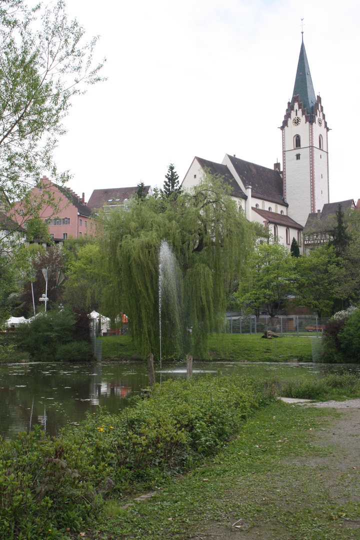 Blick auf die Stadtkirche in Engen