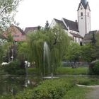 Blick auf die Stadtkirche in Engen