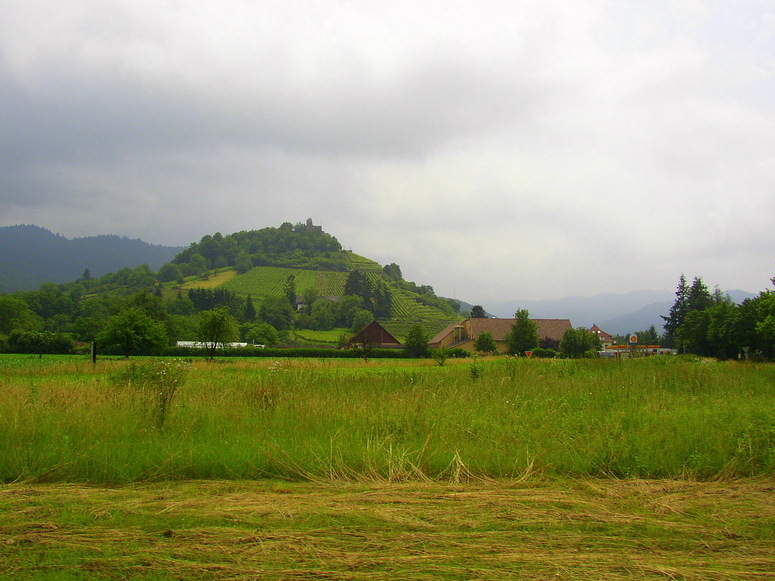 Blick auf die Staufener Burg