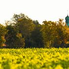 Blick auf die Steinhorster Kirche im Herbst