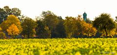 Blick auf die Steinhorster Kirche im Herbst