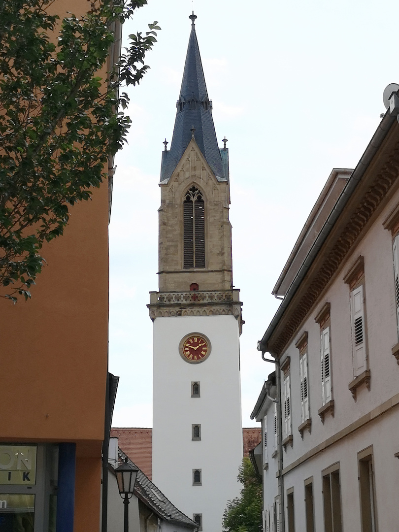 Blick auf die Stiftskirche