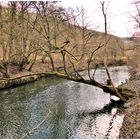 Blick auf die Tauber ,