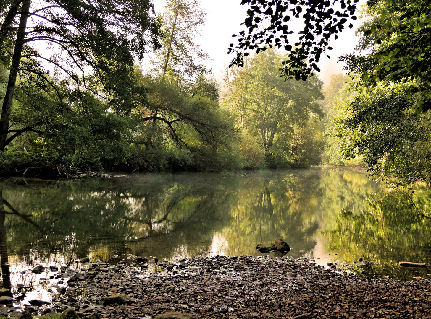 Blick auf die Tauber im September ,