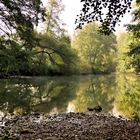 Blick auf die Tauber im September ,