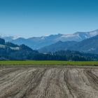 Blick auf die Tauern - schon angezuckert