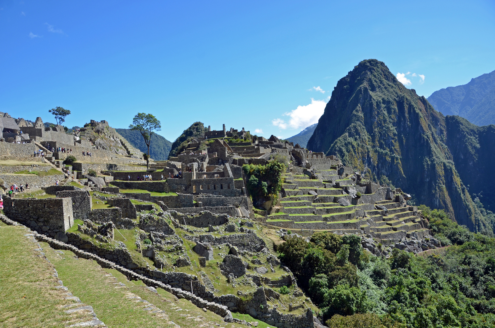 Blick auf die Terrassen von Machu Picchu und zum Huayna Picchu