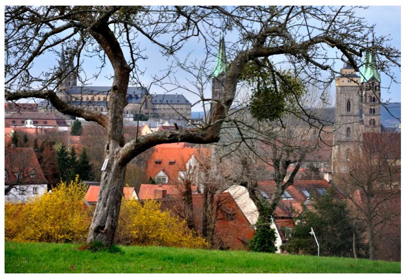 Blick auf die Turm-Stadt