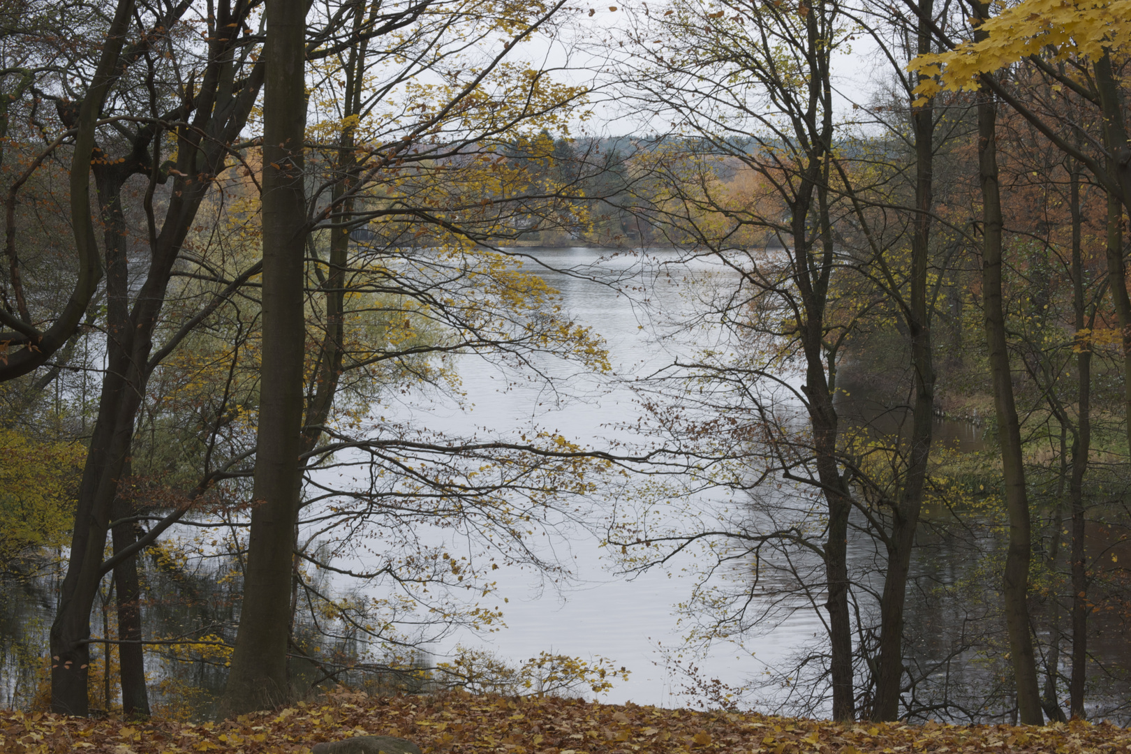 Blick auf die Unterhavel...................