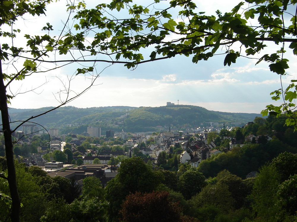 Blick auf die Unterstadt von Siegen