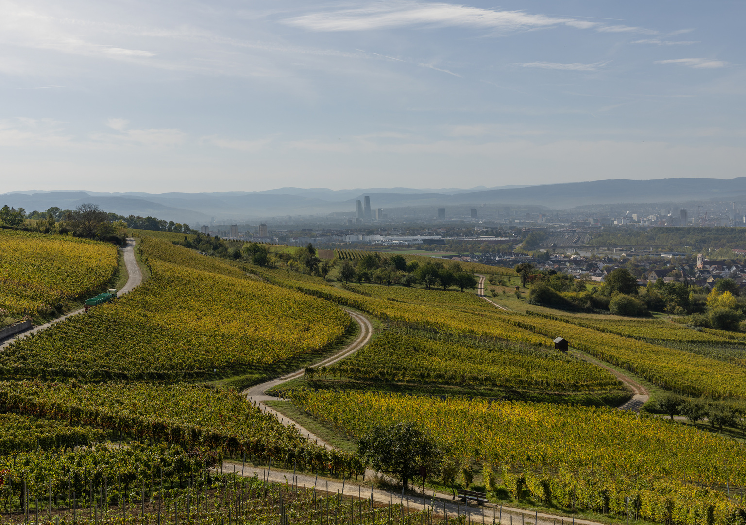 Blick auf die verkannte Schöne