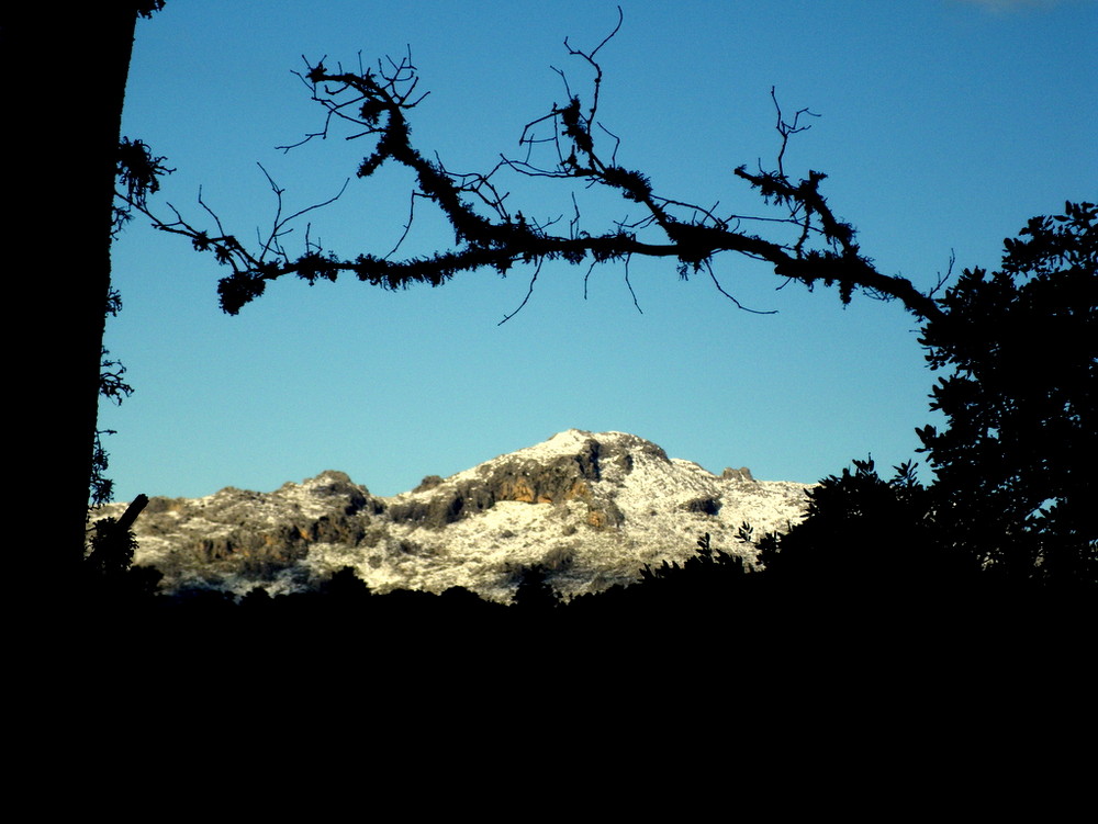 Blick auf die verschneiten Gipfel auf Mallorca