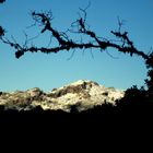 Blick auf die verschneiten Gipfel auf Mallorca