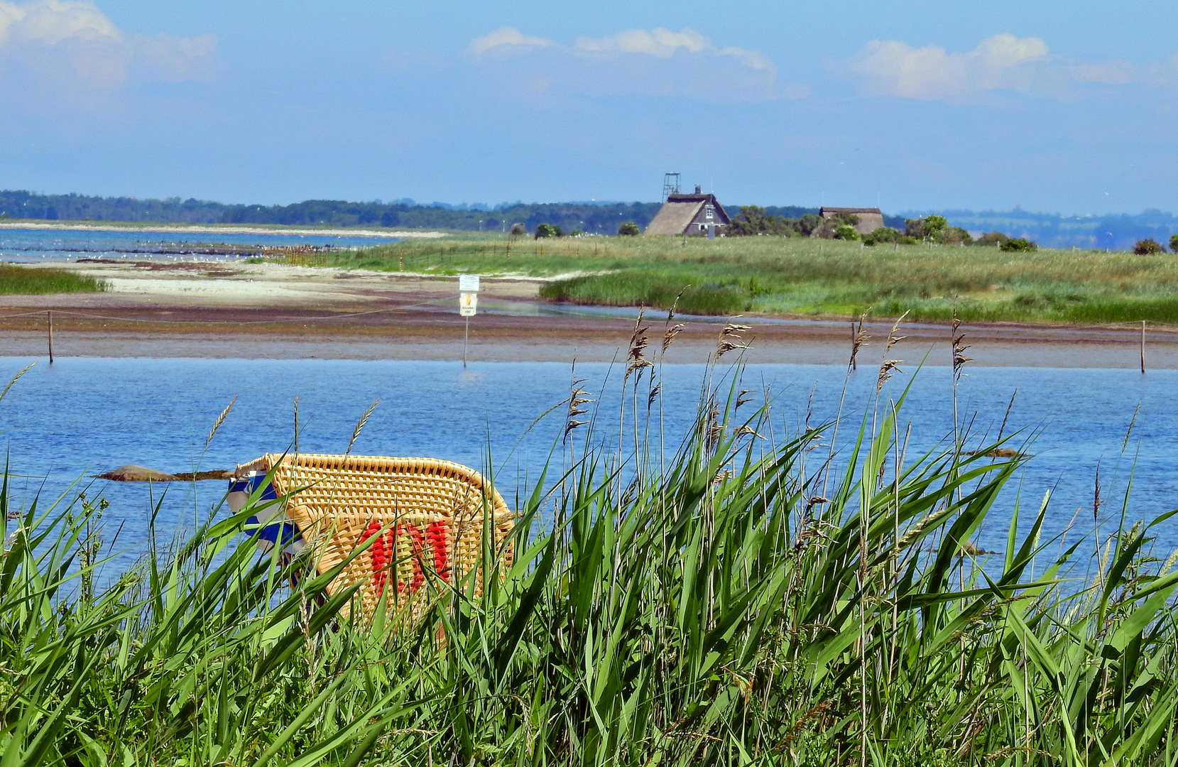 Blick auf die Vogelinsel Langewerder bei Gollwitz 