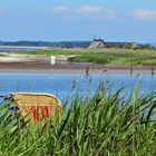 Blick auf die Vogelinsel Langewerder bei Gollwitz 