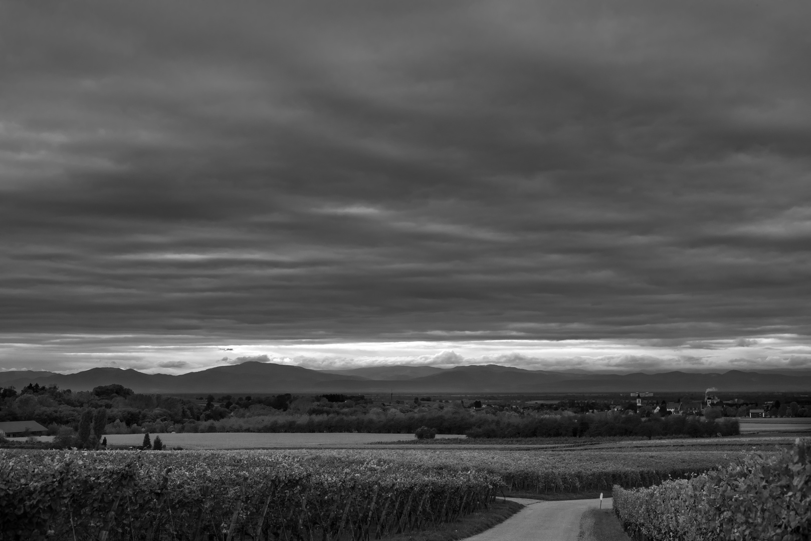 Blick auf die Vogesen