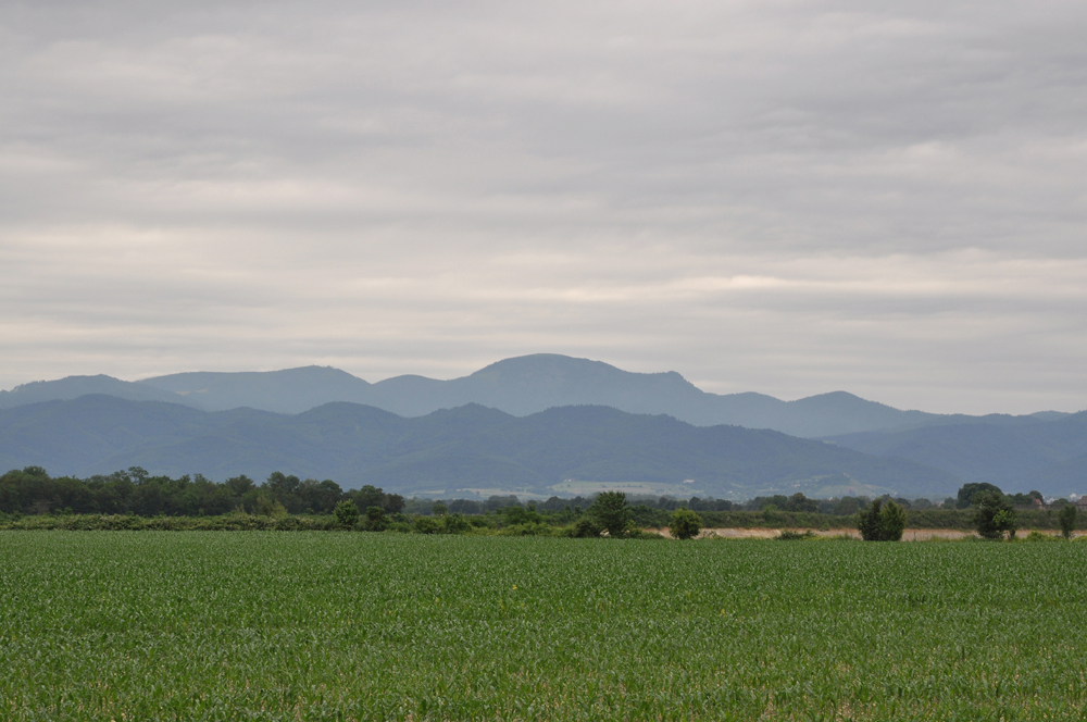 Blick auf die Vogesen